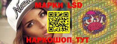 стафф Будённовск