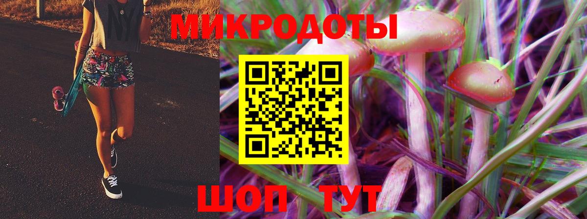Псилоцибиновые грибы Psilocybe  Галлюциногенные грибы GOLDEN TEACHER  Чехов  Вход с VPN 