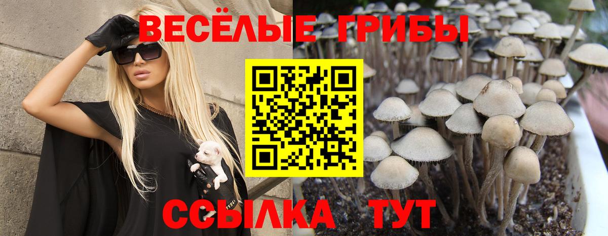 Псилоцибиновые грибы ЛСД Чехов